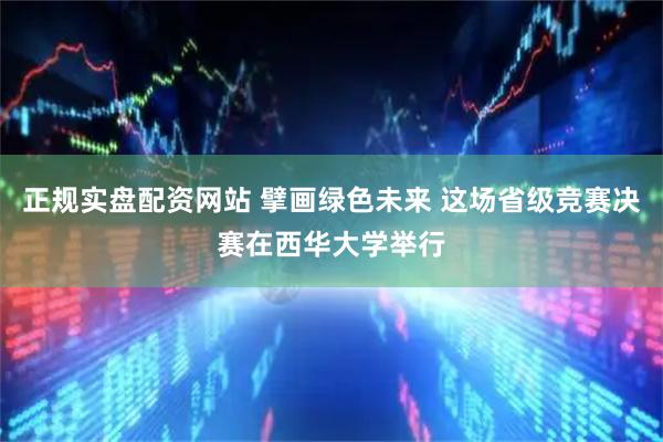 正规实盘配资网站 擘画绿色未来 这场省级竞赛决赛在西华大学举行